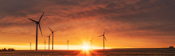 Ein Feld mit Windrädern: SUTSCHE berät Energiedienstleister