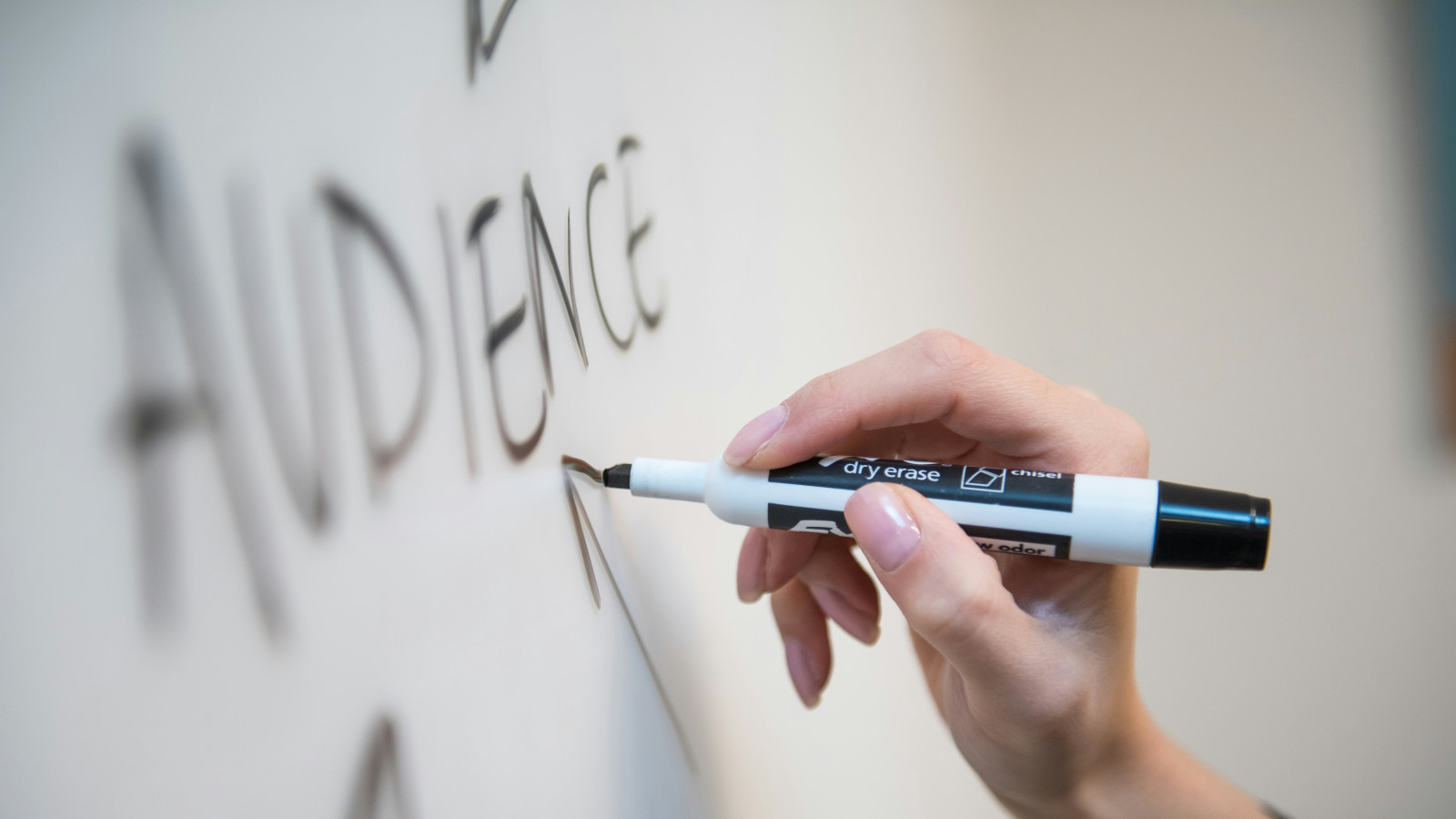 Hand zeichnet einen Pfeil in Richtung auf das Wort Audience auf einem White Board