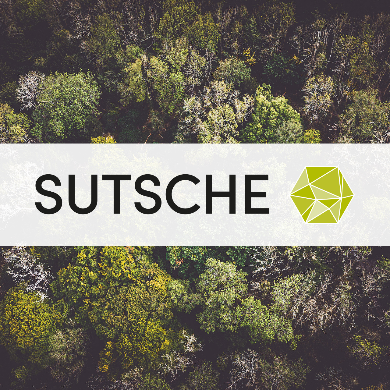 (c) Sutsche.com