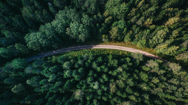 Luftaufnahme einer kurvigen Straße